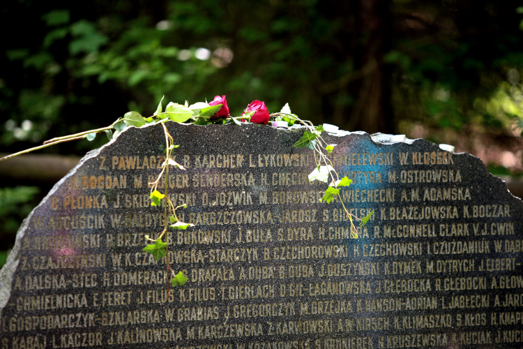 Tablica upamiętniająca ofiary katastrofy lotniczej w lesie kabackim, fot. PAP/T. Gzell