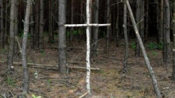 Brzozowy krzyż na skraju lasu przy tzw. trupim polu w rejonie wsi Ostrówki na Ukrainie. Fot. PAP/D. Delmanowicz