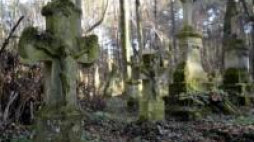 Cmentarz w Starym Bruśnie. Fot. PAP/D. Delmanowicz