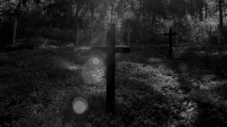 Krzyże na polskim cmentarzu w Ostrówkach na Wołyniu. W 1943 r. Ukraińska Powstańcza Armia zamordowała ponad 1000 mieszkańców Ostrówek oraz sąsiedniej Woli Ostrowieckiej. Fot. PAP/D. Delmanowicz