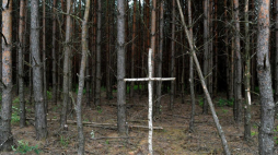 Brzozowy krzyż na skraju lasu przy tzw. trupim polu w rejonie wsi Ostrówki na Ukrainie. Poszukiwania szczątków około 300 Polaków, którzy w 1943 roku zginęli z rąk UPA. 2011 r. Fot. PAP/D. Delmanowicz