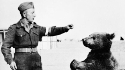 Niedźwiedź Wojtek z żołnierzem II Korpusu Polskiego gen. Andersa. Źródło: Wikimedia Commons