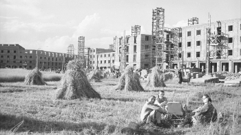 Budowa wielkich osiedli i nowych miast towarzyszyła priorytetowym inwestycjom planu 6-letniego: osiedle C-1 pośród pól, na których trwają prace żniwne. Nowa Huta, 07.1953. Fot. PAP/CAF/S. Dąbrowiecki
