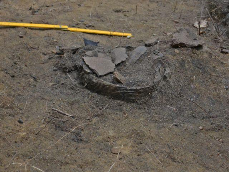 Grób ciałopalny z urną uchwycony jeszcze w ziemi. Źródło: ekspedycja archeologiczna z Muzeum Warmii i Mazur