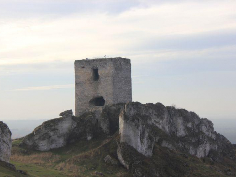 Wieża starościńska (sołtysia) - według niektórych hipotez najstarsza część zamku w Olsztynie. Fot. Marek Klapa (PAP)