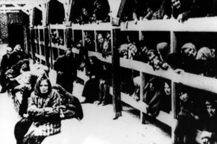 Więźniowie obozu w baraku na pryczach (1945). Fot. PAP/CAF