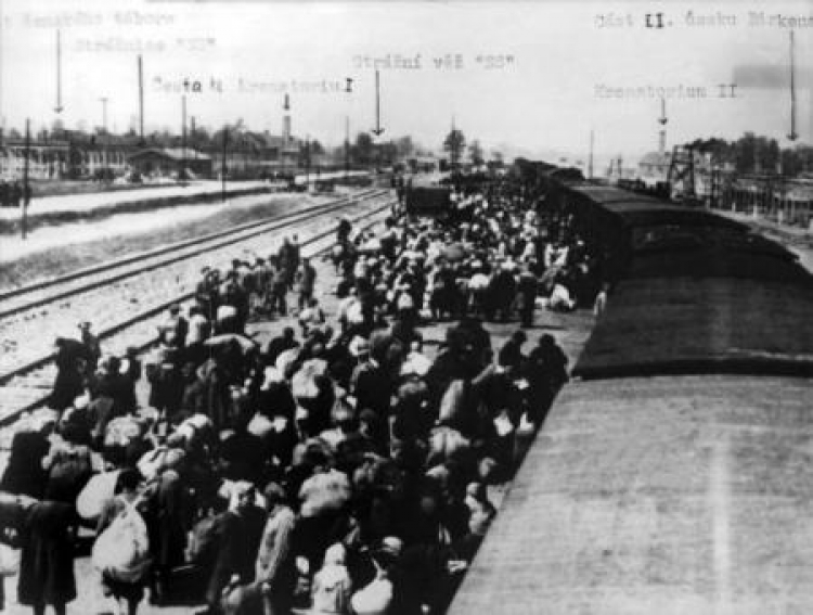 Auschwitz - transport Żydów z Wegier. 1944 r. Fot. PAP/EPA