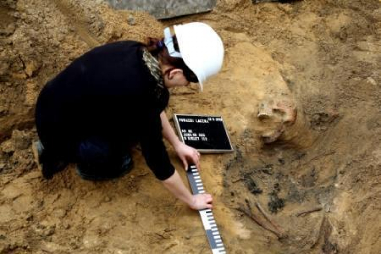 Prace ekshumacyjne na Łączce w 2013 r. Fot. PAP/T. Gzell