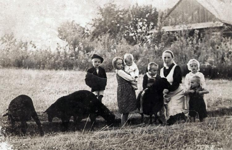 Wiktoria Ulma z sześciorgiem swoich dzieci. Źródło: Yad Vashem