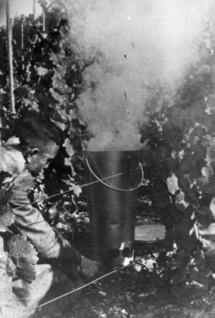 Piecyk do ogrzewania winorośli w winnicy. Winnica w Generalnej Guberni, 1941 r. Fot. NAC