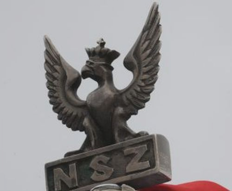 Narodowe Siły Zbrojne. Fot. PAP/L. Szymański
