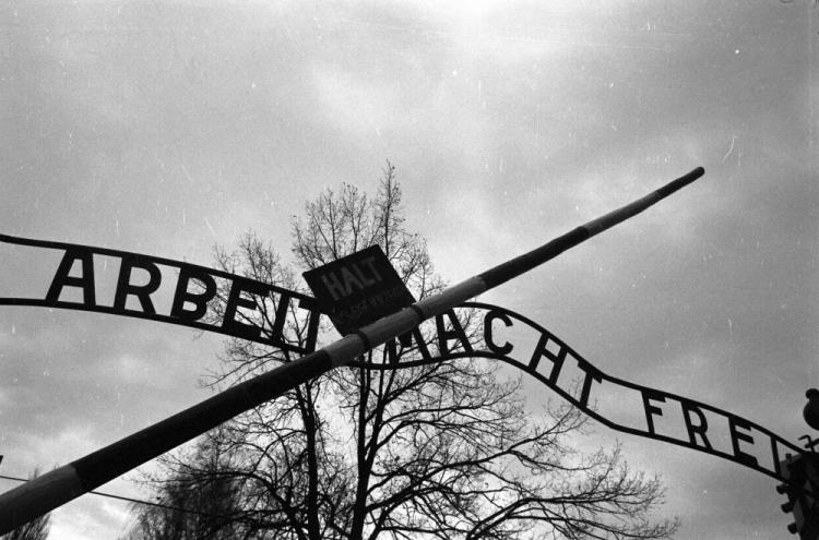 Napis nad bramą do obozu niemieckiego zagłady Auschwitz-Birkenau. PAP/M. Billewicz