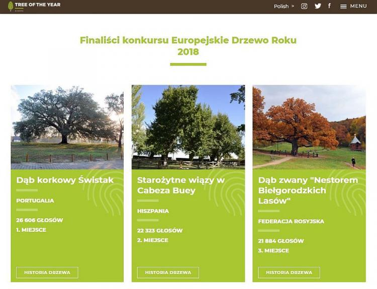 Plebiscyt na Europejskie Drzewo Roku 2018. Źródło: www.treeoftheyear.org