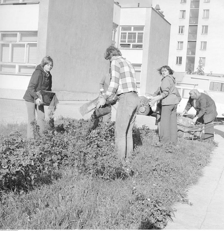 Sadzenie kwiatów na osiedlowym skwerze podczas czynu społecznego. Osiedle Za Żelazną Bramą w Warszawie, 1976 r. Fot. NAC