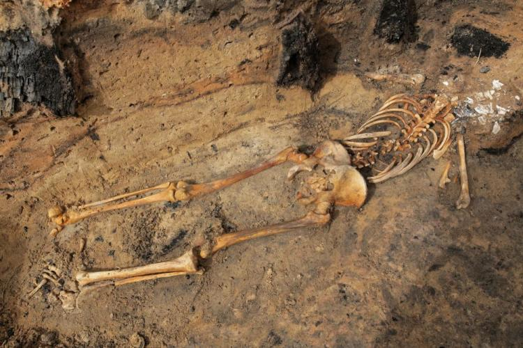 Szkielet znaleziony podczas wykopalisk archeologicznych w XIV-wiecznej osadzie k. Barczewka zwanej "warmińskimi Pompejami". Fot. PAP/T.  Waszczuk