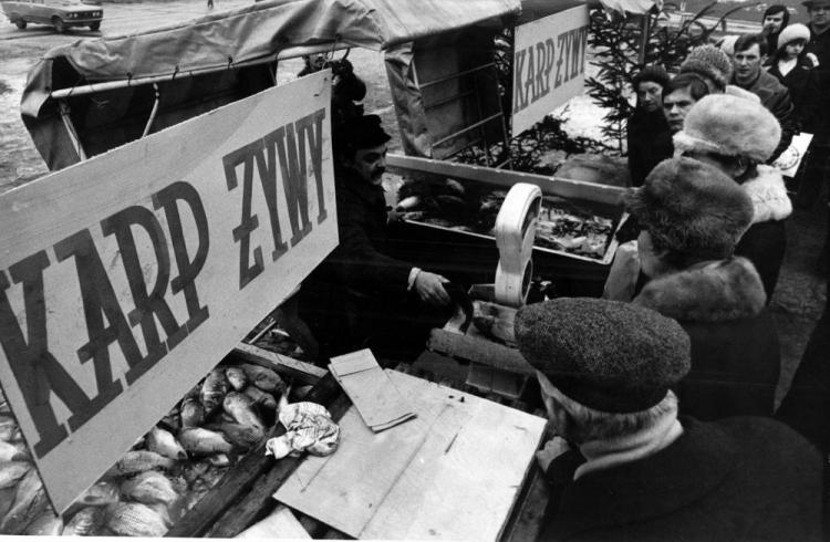 Warszawa 12.1976. Plac Defilad. Punkt sprzedaży karpia. Fot. PAP/CAF/ T. Walczak