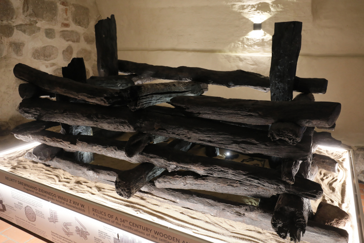 Prezentacja reliktu drewniano-ziemnego wału skrzyniowego z połowy XIV wieku. Fot. PAP/P. Supernak