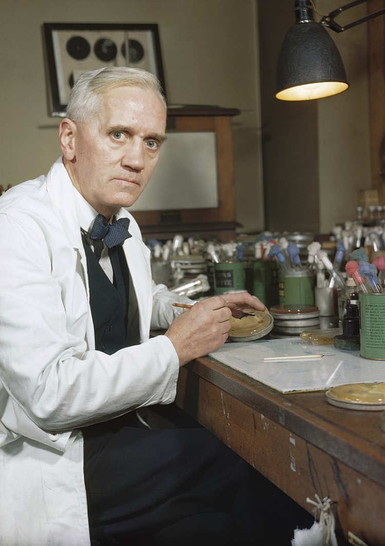 Alexander Fleming w swoim londyńskim laboratorium. Źródło: Wikimedia Commons