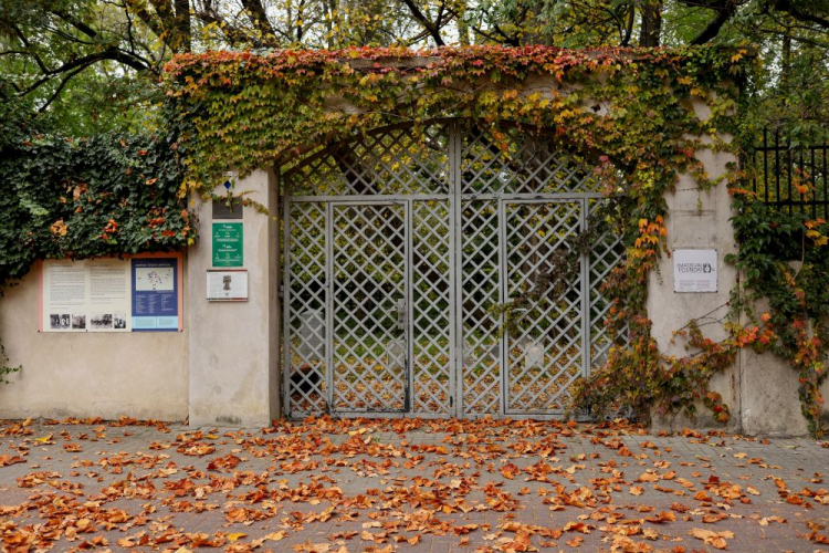 Cmentarz żydowski w Oświęcimiu. Fot. PAP/T. Wiktor