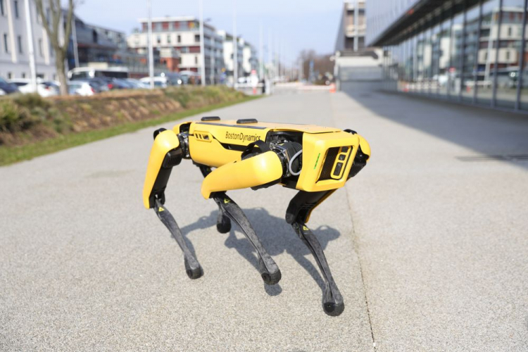 Pies-robot Spot prezentowany przed siedzibą Centrum Nauki Kopernik w Warszawie. Fot. PAP/R. Guz