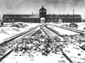 auschwitz