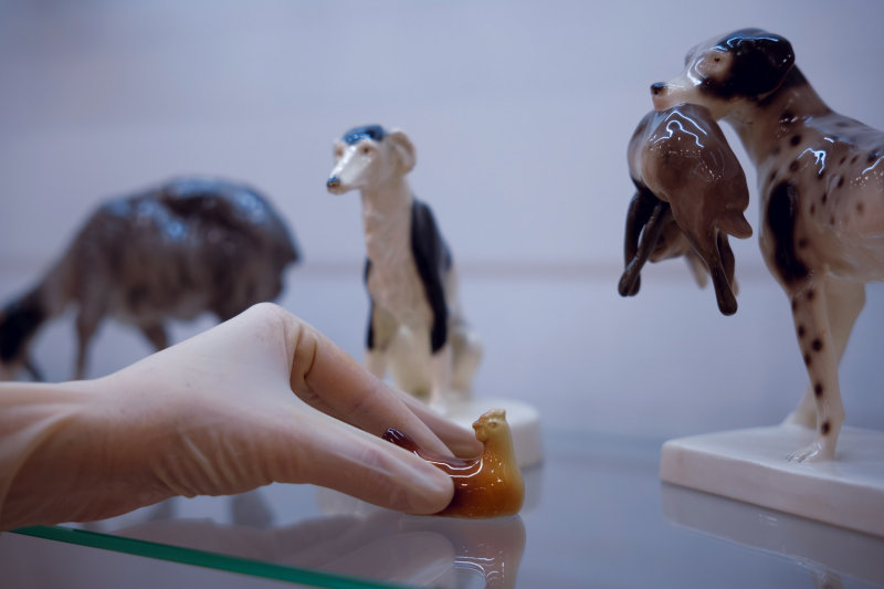 Montaż i aranżacja „Kruche dziedzictwo Pacykowa. Ceramika ze zbiorów Muzeum – Zamek Górków w Szamotułach. Fot. Muzeum Regionalne w Stalowej Woli