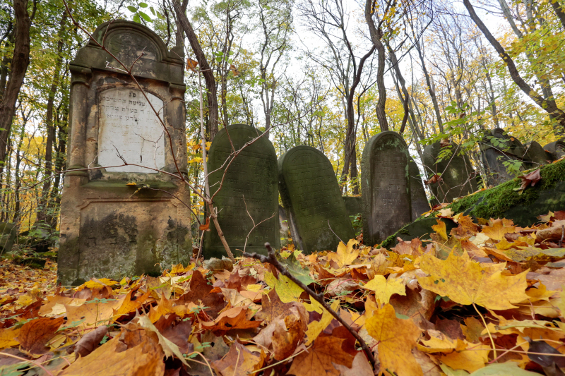 Cmentarz żydowski w Warszawie. Fot. PAP/Szymon Pulcyn
