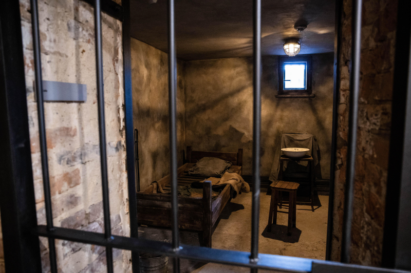 Żabikowo, 10.09.2026. Otwarte po zakończonej rozbudowie Muzeum Martyrologiczne w Żabikowie. W nowym skrzydle placówki przygotowane zostały trzy wystawy: „Otwieramy magazyny, świadectwa historii muzeów w Żabikowie, Forcie VII i Chełmnie nad Nerem”, „Ślady przeszłości na terenie byłego niemieckiego obozu karno-śledczego w Żabikowie” oraz "Sprawcy". PAP/Marek Zakrzewski