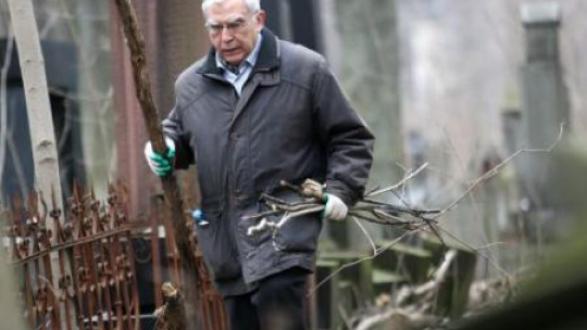 Adam Daniel Rotfeld podczas porządkowania Cmentarza Żydowskiego przy ul. Okopowej w Warszawie. Fot. PAP/L. Szymański