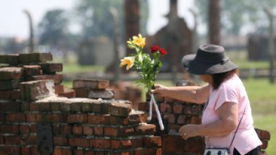 Uroczystości Dnia Pamięci o Zagładzie Romów w 65. rocznicę likwidacji "Zigeunerlager". Fot. PAP/J. Bednarczyk
