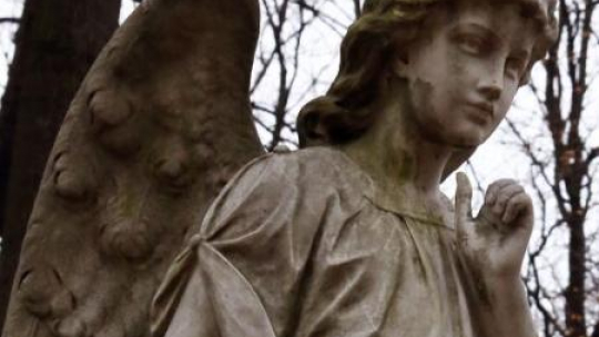 Stare Powązki. Fot. PAP/T. Gzell