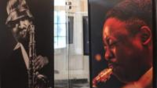 Fotografie Marka Karewicza. Fot. PAP/J. Kamiński