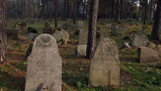 Mizar (zireć) – cmentarz muzułmański w Kruszynianach. Fot. PAP/A. Reszko