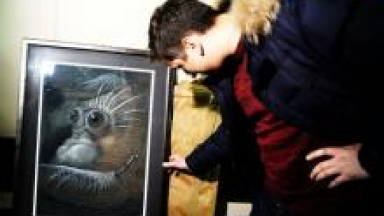  Dziennikarz Jarosław Jabrzyk z TVN odbiera "Zjawę". Fot. PAP/J.Turczyk