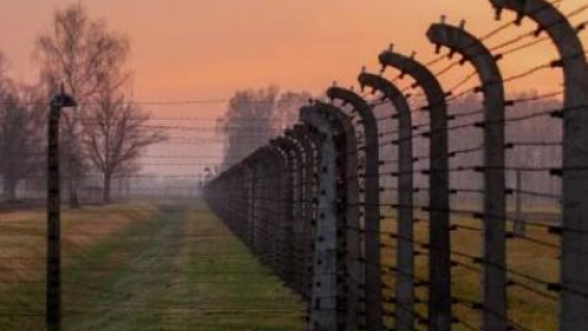 Teren byłego nazistowskiego obozu Auschwitz Birkenau. Fot. PAP/A. Grygiel
