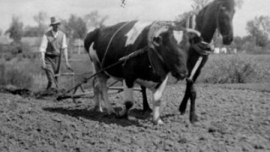 Orka wiosenna w okolicach Łowicza. Kwiecień 1946 r. Fot. PAP/CAF/J. Baranowski