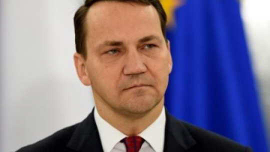 Marszałek Sejmu Radosław Sikorski. Fot. PAP/R. Pietruszka