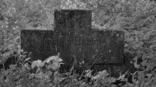 Cmentarz przy zborze mennonitów, holenderskich osadników, którzy przybyli na Żuławy w XVI w. Fot. PAP/T. Waszczuk