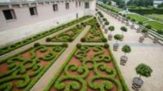 Ogrody Zamku Królewskiego w Warszawie. Fot. Bogdan Kuc