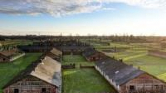 Konserwowane baraki w najstarszej części obozu. Fot. Muzeum Auschwitz Birkenau