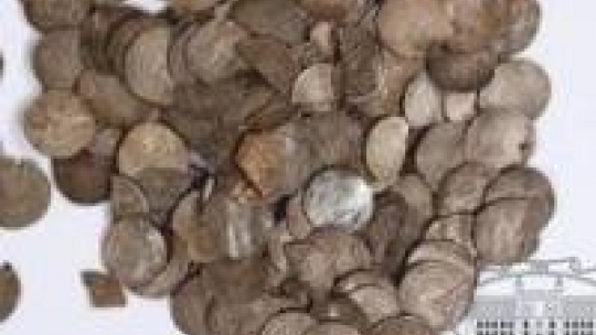 „Skarby monet w zbiorach Muzeum Lubelskiego”