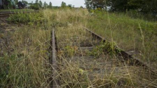 Jaworzyna Śląska. Fragment starych torów kolejowych pomiędzy Wrocławiem a Wałbrzychem. Fot. PAP/A. Koźmiński