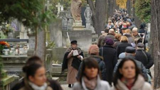 Kwesta na Starych Powązkach w Warszawie Fot.PAP/Jacek Turczyk