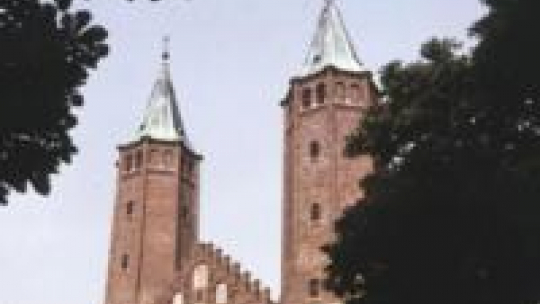 Wieże katedry Wniebowzięcia Najświętszej Marii Panny w Płocku. Fot. PAP/W. Kryński