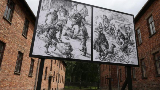 Wystawa plenerowa na terenie Muzeum Auschwitz. Fot. PAP/S. Rozpędzik 
