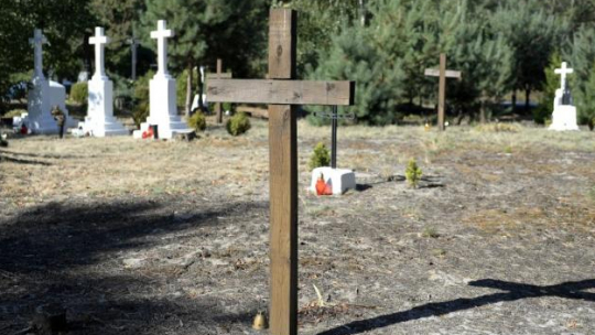 Polski cmentarz w Ostrówkach. Fot. PAP/D. Delmanowicz