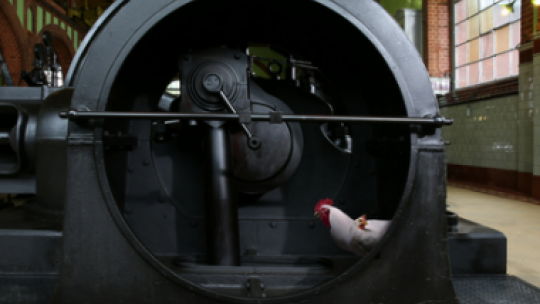 Wystawa "Zabytki wrocławskich wodociągów w obiektywie Ryszarda Horowitza"