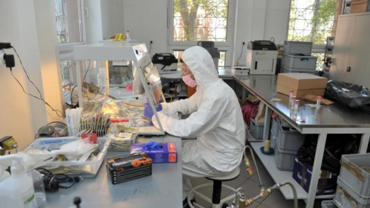 Polska Baza Genetyczna Ofiar Totalitaryzmów jest projektem Pomorskiego Uniwersytetu Medycznego w Szczecinie. Fot. PAP/M. Bielecki