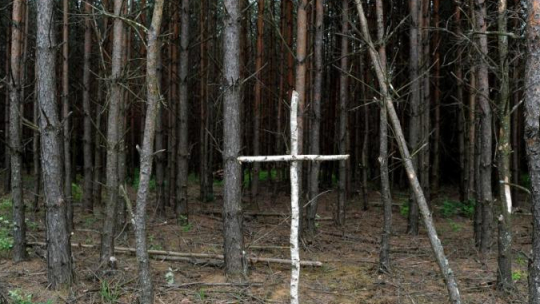 Brzozowy krzyż na skraju lasu przy tzw. trupim polu w rejonie wsi Ostrówki na Ukrainie, gdzie poszukiwane były szczątki ofiar UPA. 2011 r. Fot. PAP/D. Delmanowicz