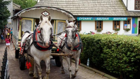 Międzynarodowy Tabor Pamięci Romów wyruszył 27 bm. sprzed Muzeum Etnograficznego w Tarnowie, aby dotrzeć do miejsc upamiętniających zagładę Romów. Fot. PAP/P. Topolski